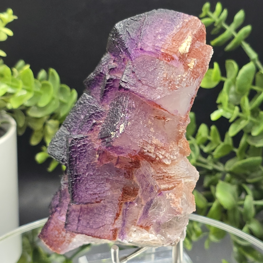 Fluorite from El Filo Mine Durango Mexico - Picture 6 of 7